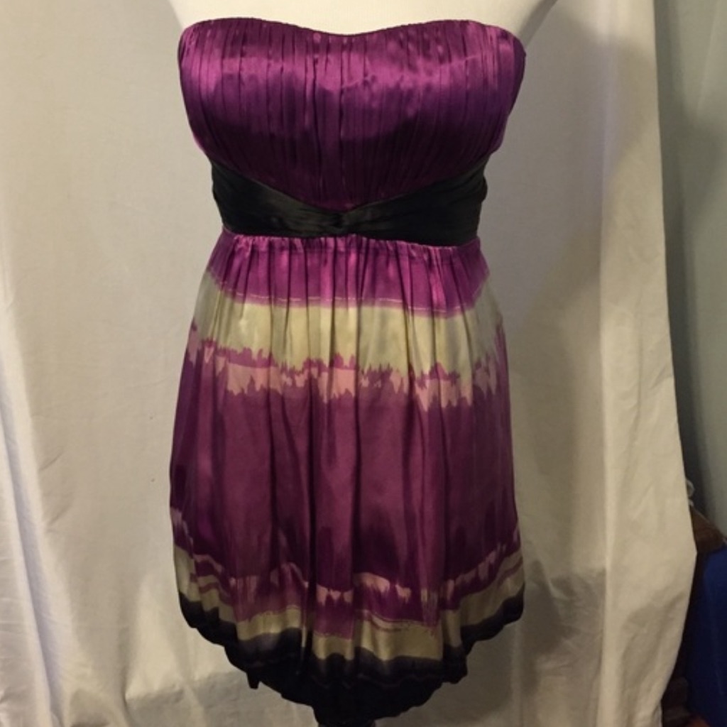Bebe Purple Strapless Dress. Back Hidden Zip. Lined. Nwt